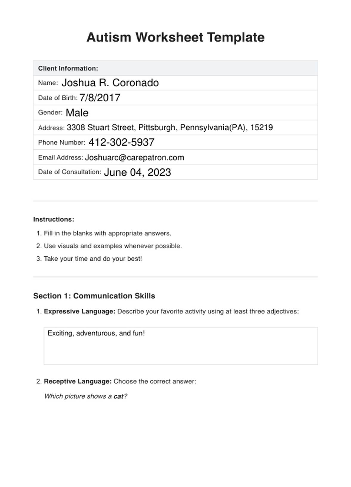 Autism Worksheet Example Free PDF Download