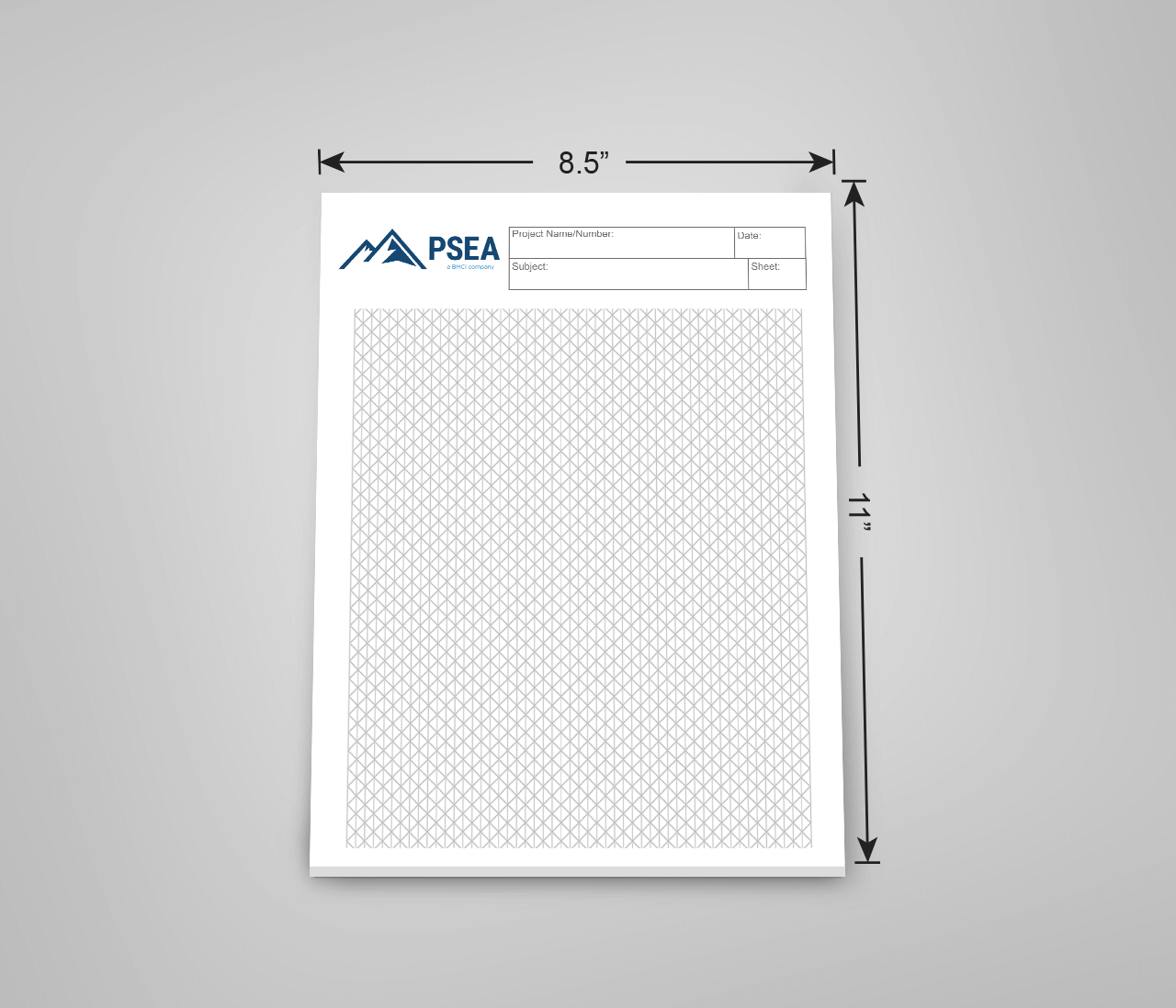 Custom Isometric Graph Pads 8 5 X 11 PrintPPS 