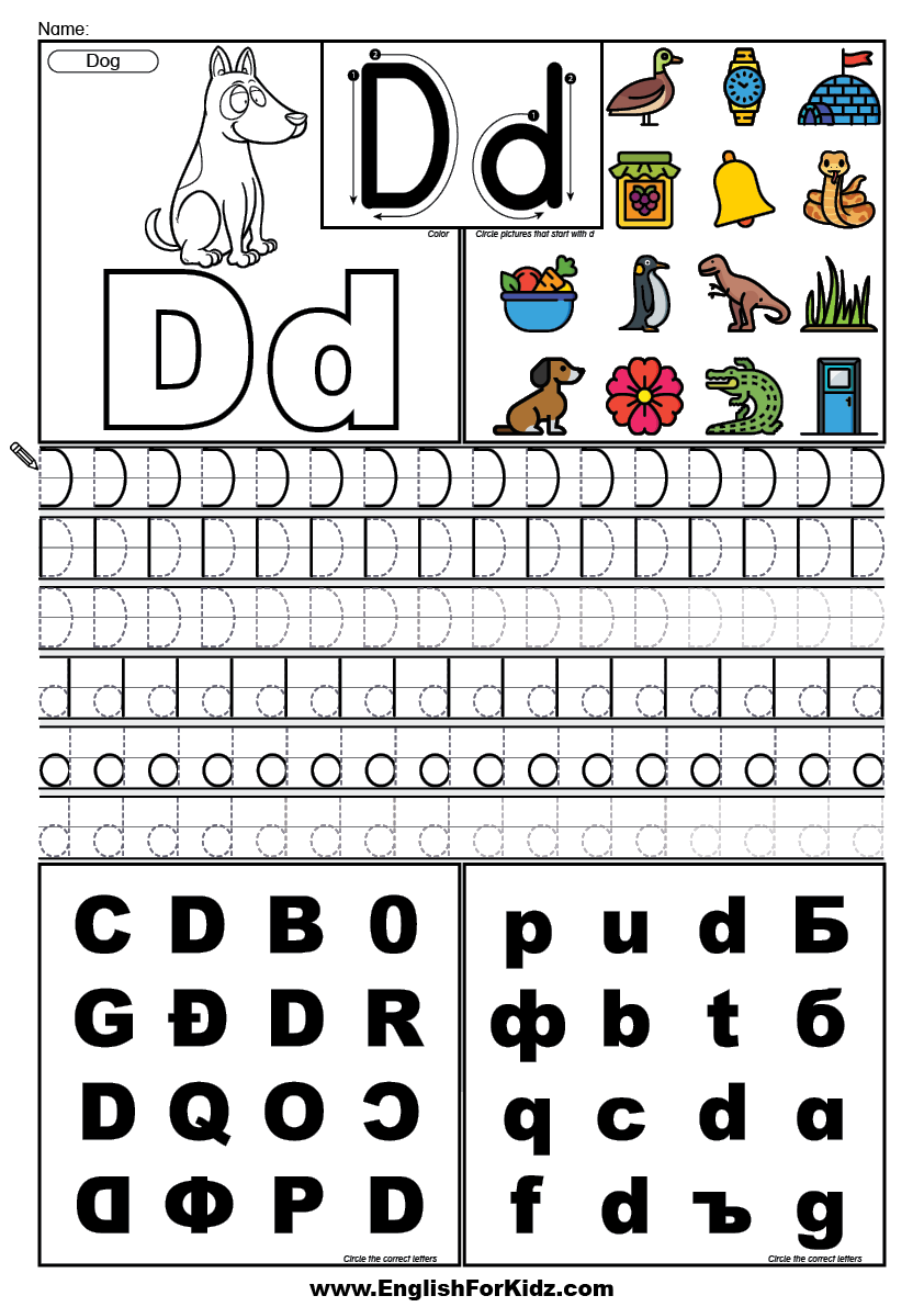 Letter D Printable Worksheets