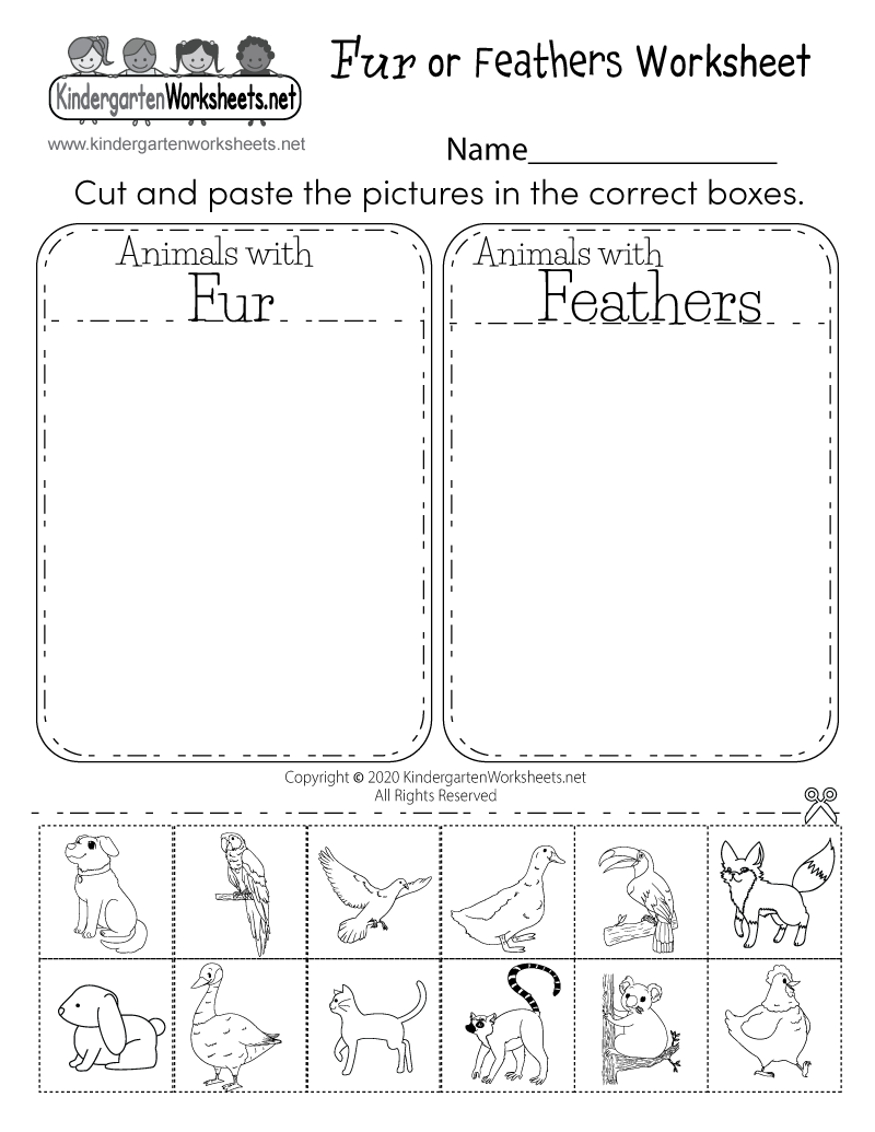 Science Worksheets Free Printable