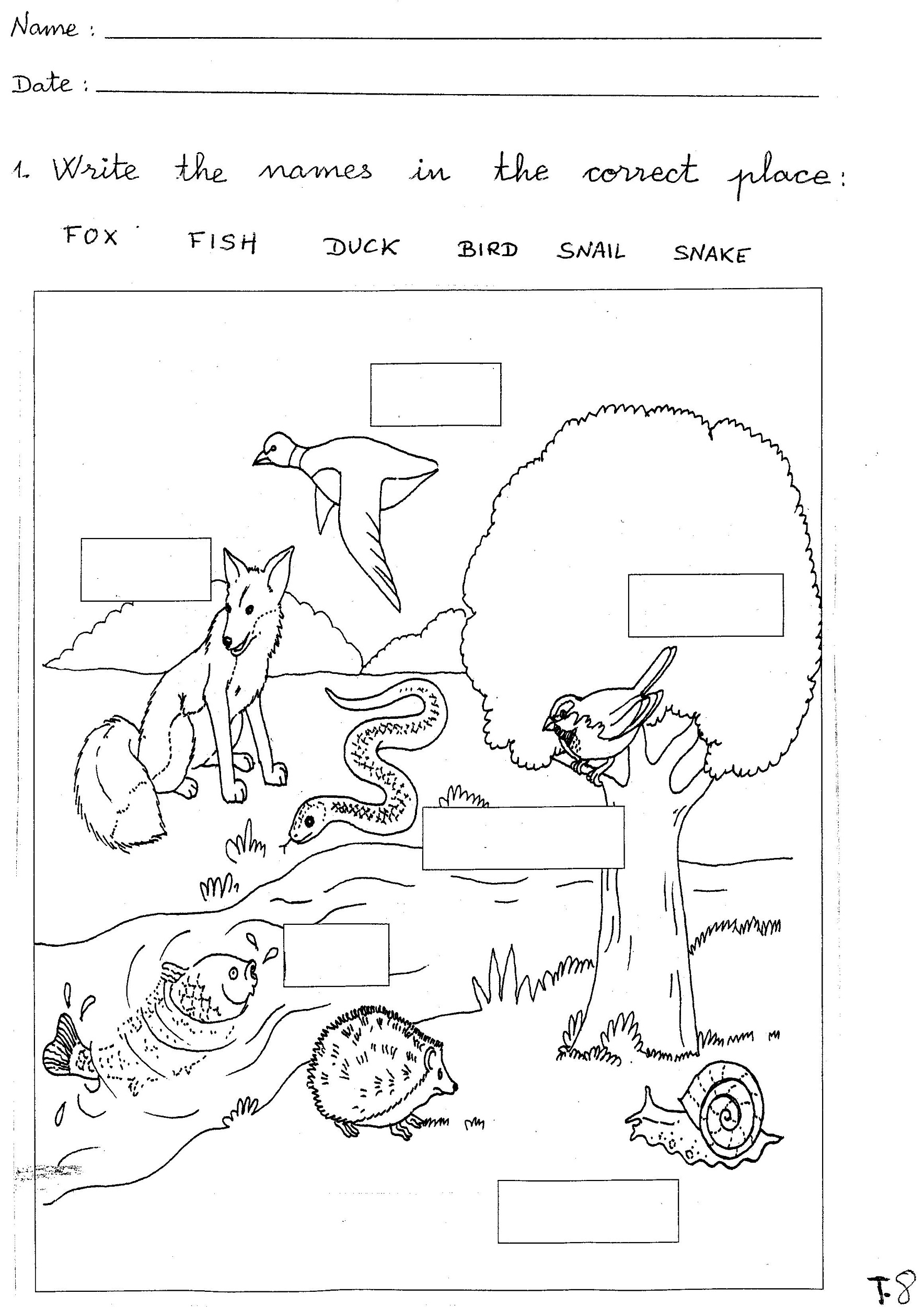 Kindergarten Science Worksheets Word Lists And Activities Worksheets Library
