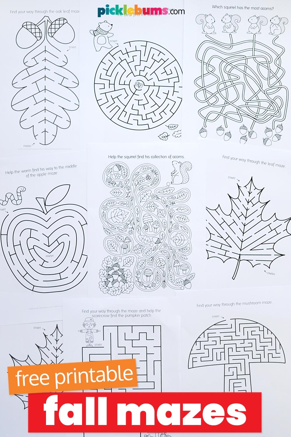 Maze Worksheet Printable