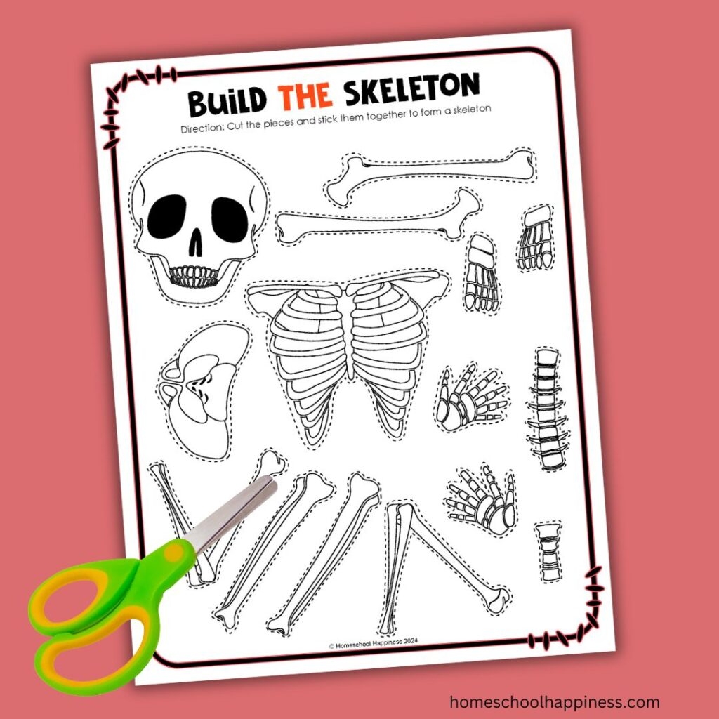 Skeletal System Printable Worksheets