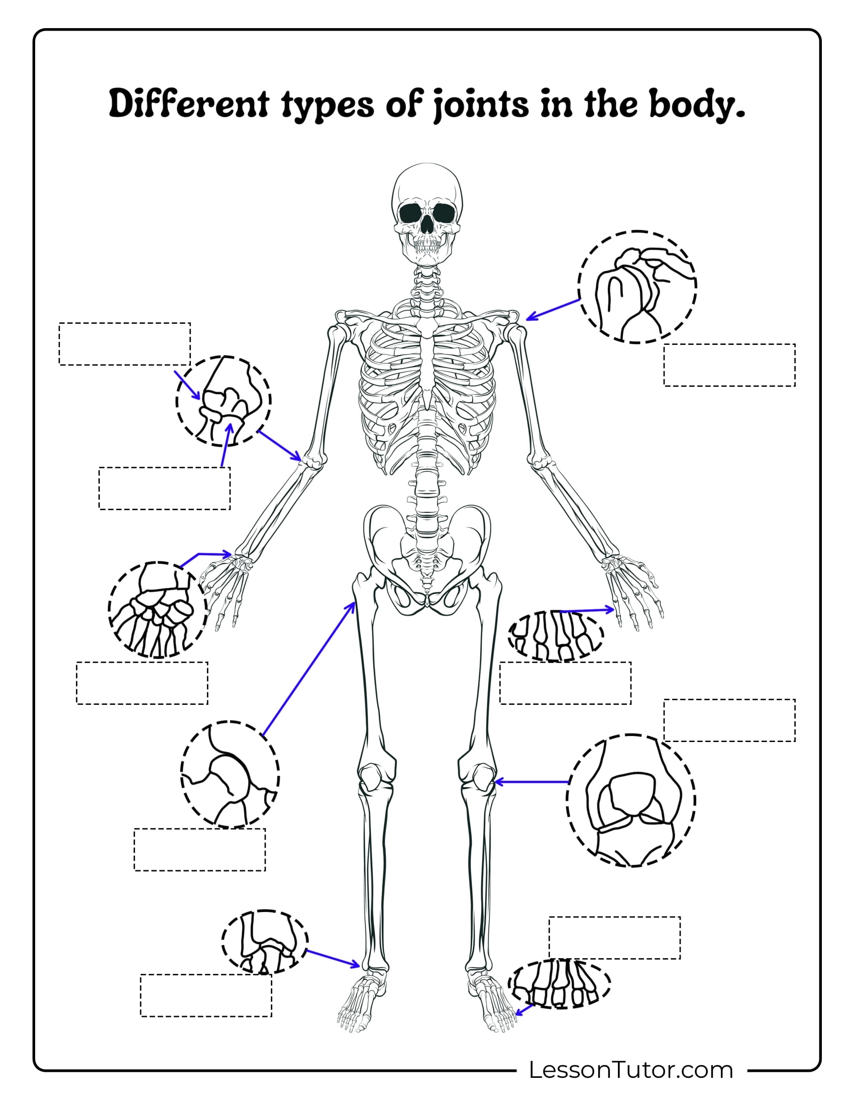Skeleton Worksheets Free Coloring Pages PDF Printables And Worksheets Lesson Tutor