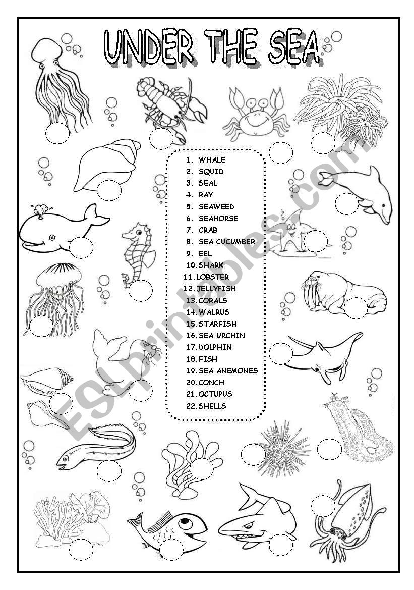 Under The Sea ESL Worksheet By Veenee
