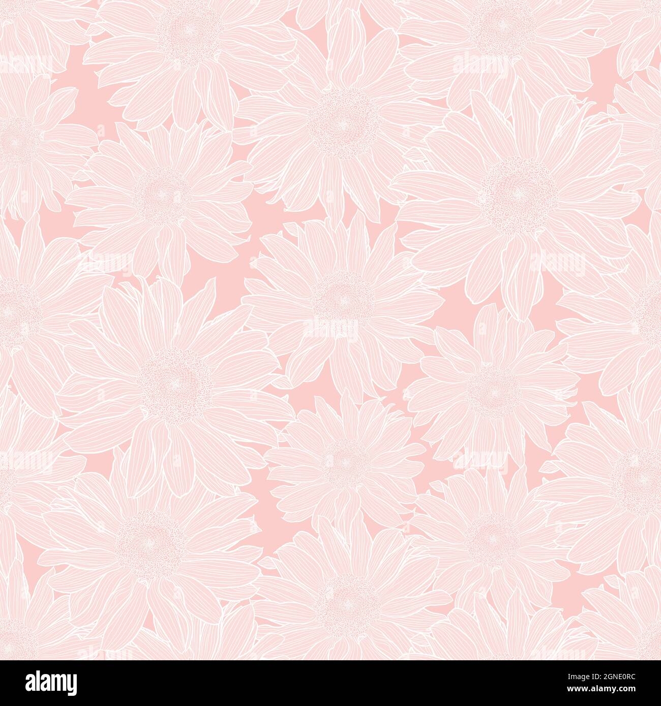 Vector Floral Seamless Pattern Of Chamomile Flowers In Light Pink Pastel Colors With White Outline Decorative Print For Wallpaper Wrapping Textile Fashion Fabric Or Other Printable Covers Stock Vector Image Art 