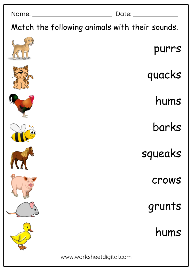 Animal Sounds Worksheet Worksheet Digital 1 Teacher Made Resources
