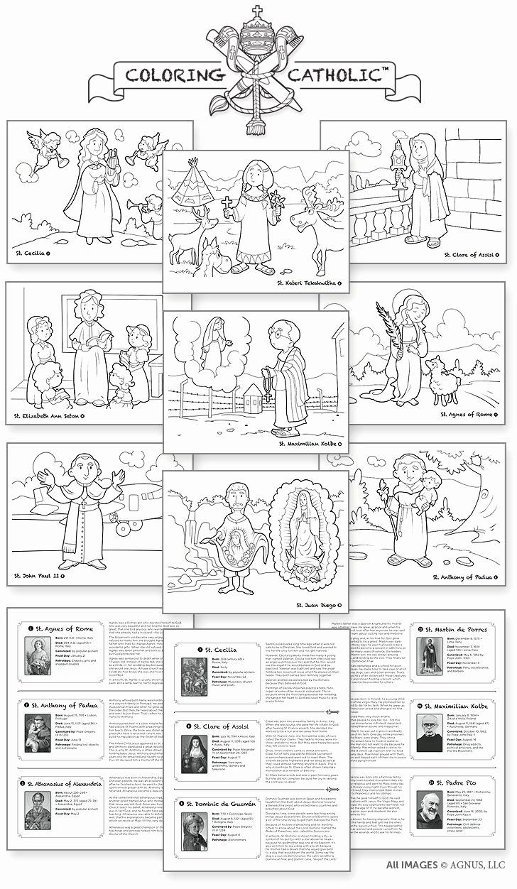 Order Of The Mass Worksheet Lovely Catholic Mass Parts In Order Worksheet Sketch Coloring Page