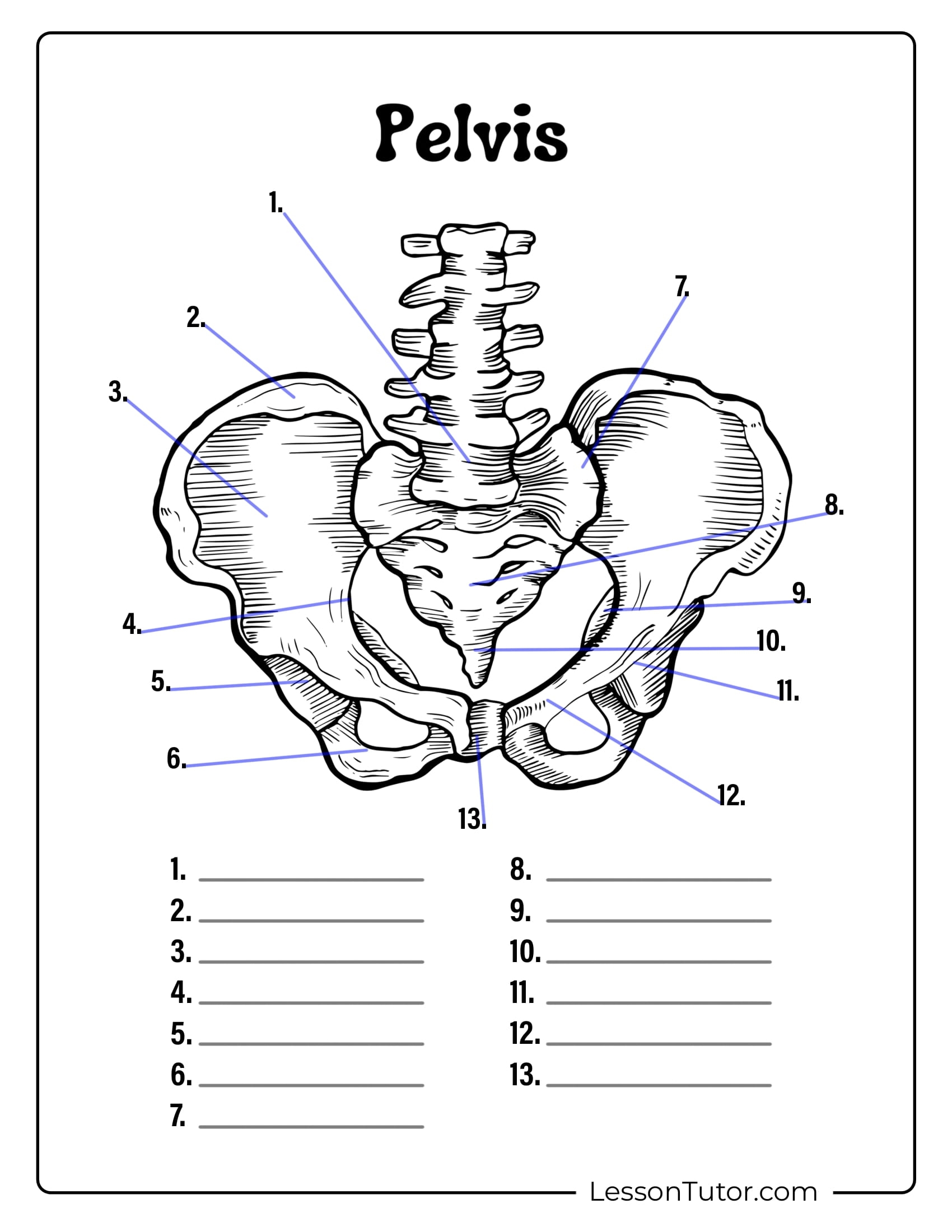 Skeleton Worksheets Free Coloring Pages PDF Printables And Worksheets Lesson Tutor