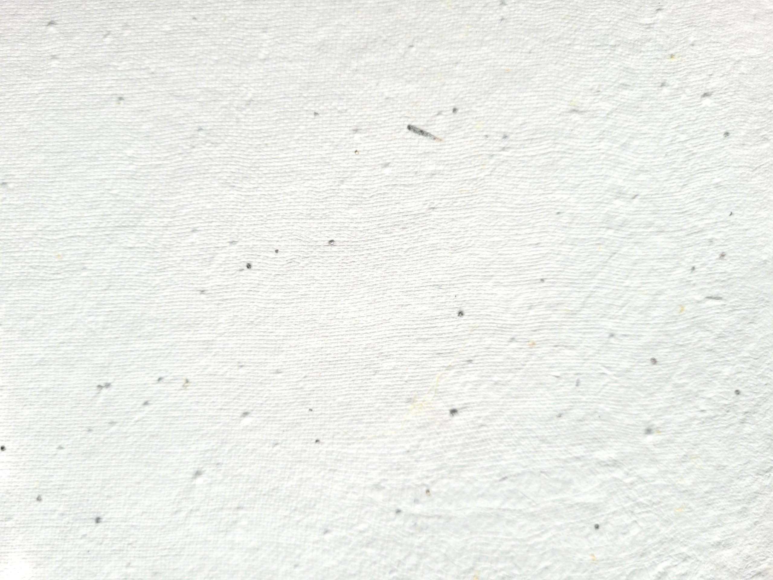 Amazon Printable A4 Seed Paper Printer Safe White Printable Wildflower Seeded Cardstock Paper 200 GSM Sheets 10 Arts Crafts Sewing