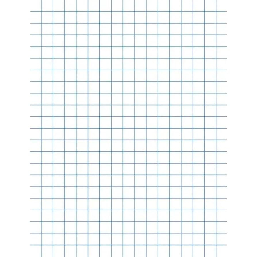 Amazon School Smart Graph Paper 1 4 Inch Rule 9 X 12 Inches White Pack Of 500 Office Products