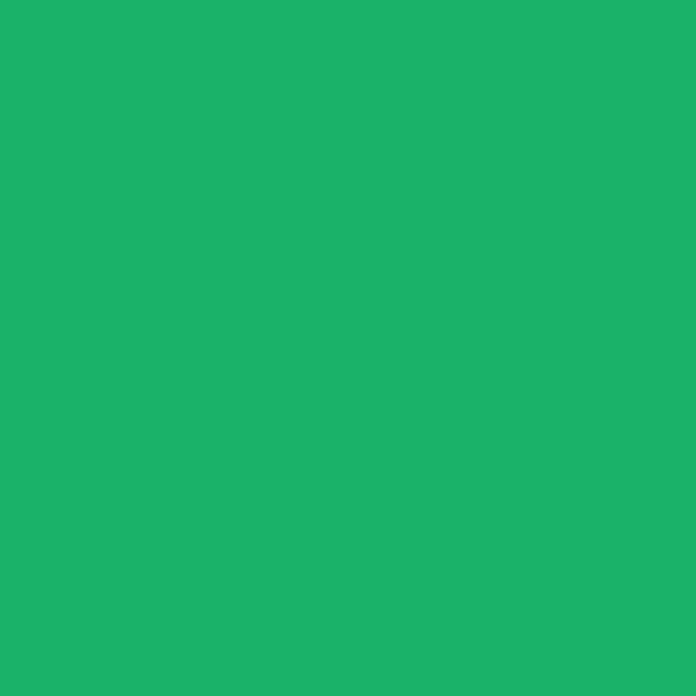 Amazon Toyo Origami Paper Single Color Green 15cm 100 Sheets Arts Crafts Sewing