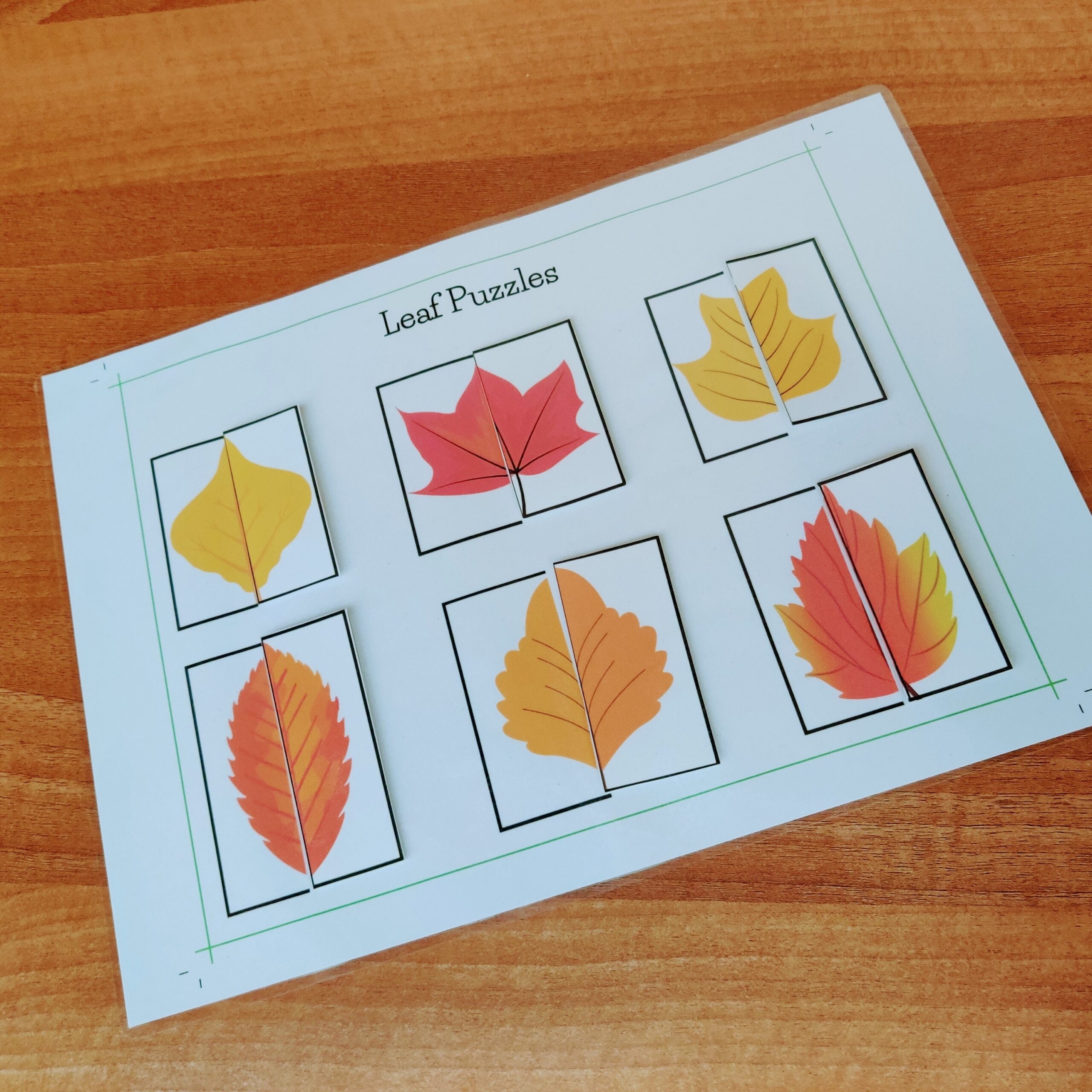 Autumn Fall Leaf Printable Puzzle Leaf Matching Activity Printable Busy Book Page Preschool Learning File Folder Game Prek Busy Binder Etsy