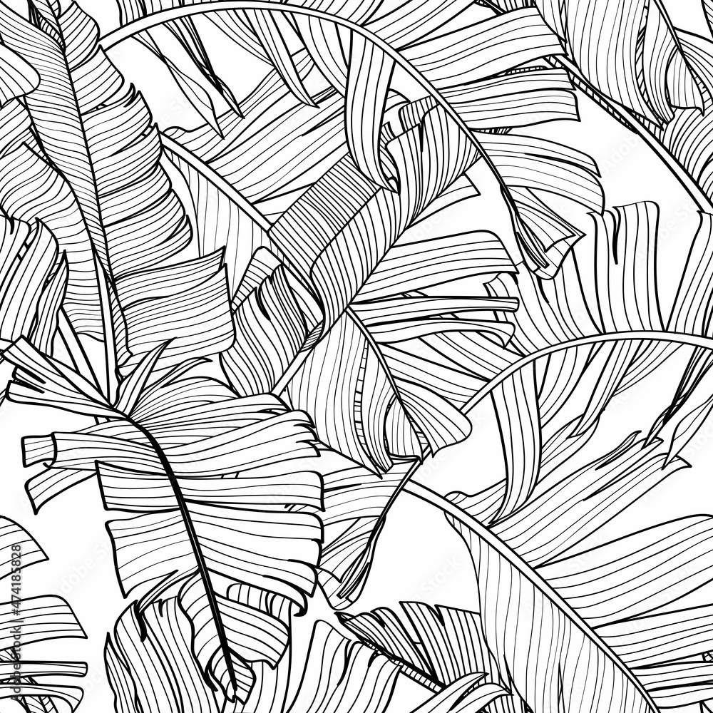 Botanical Seamless Pattern Hand Drawn Line Art Banana Leaves On White Printable Black White Wallpaper Or Textile Illustration Stock Vector Adobe Stock