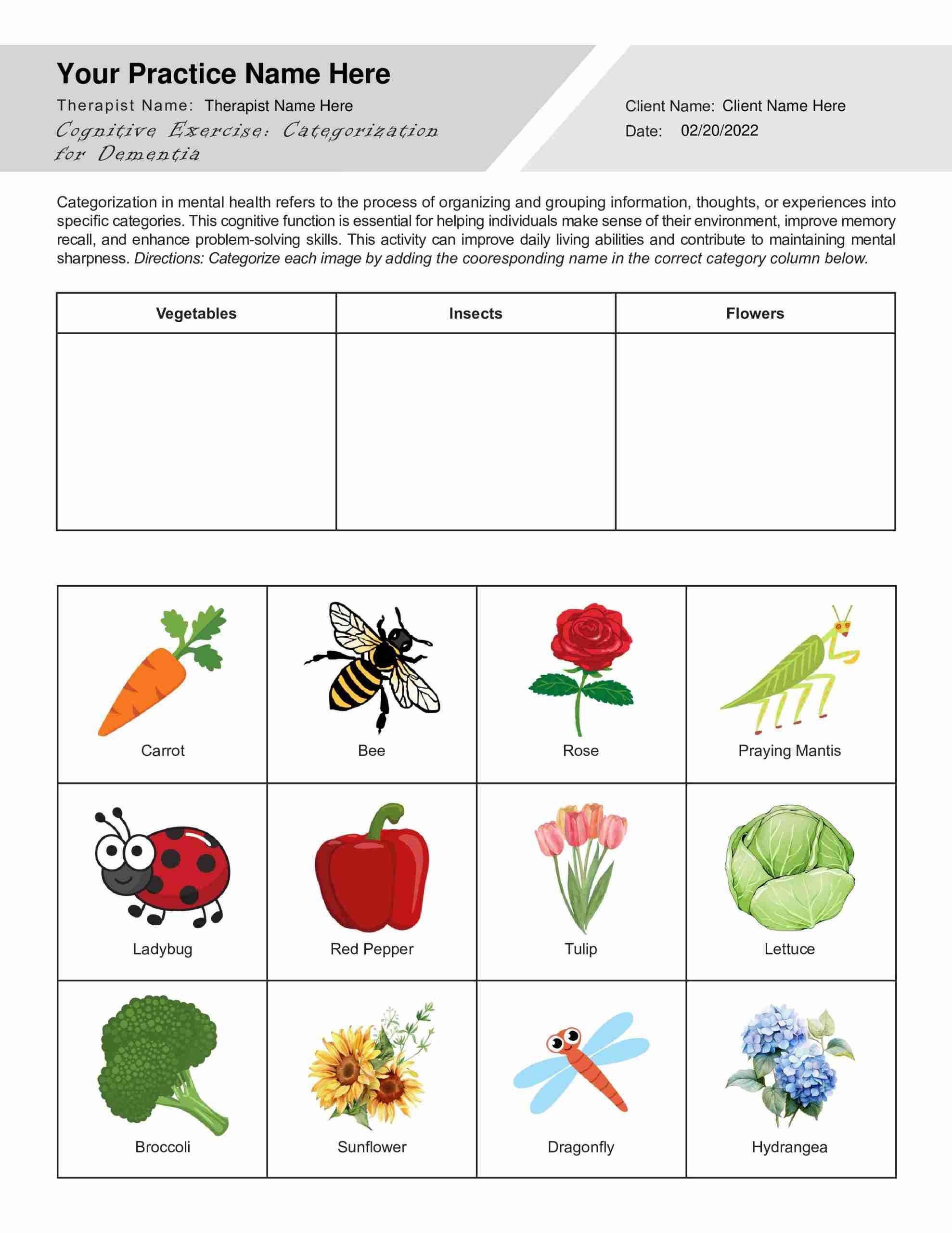 Categorization For Dementia Worksheet PDF TherapyByPro