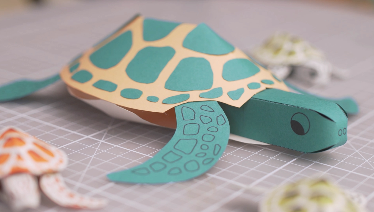 Craft Your Own Paper Turtle With My Free Printable Download Sam Pierpoint
