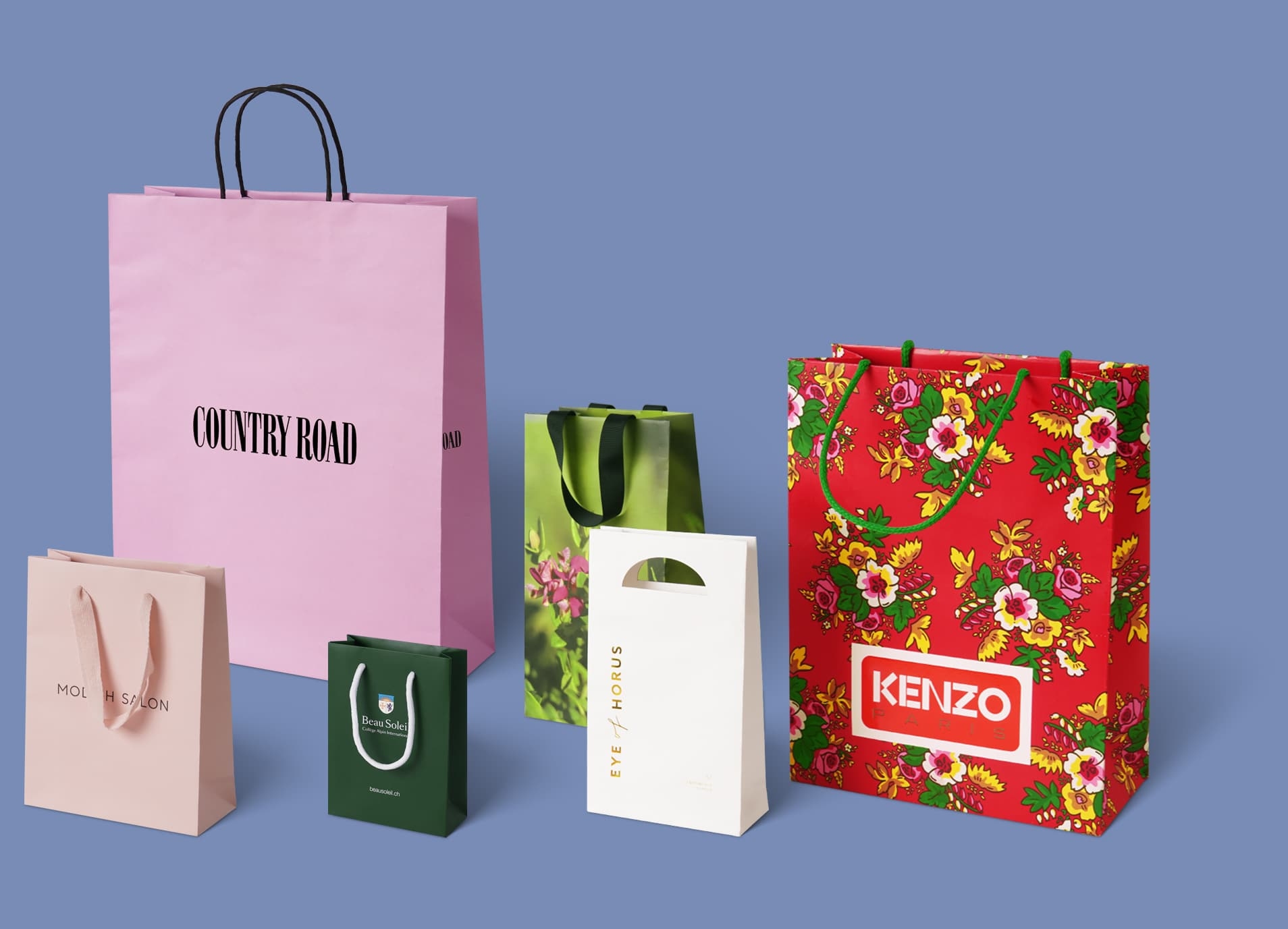 Custom Printed Paper Bags With Logo Bulk Wholesale Orders