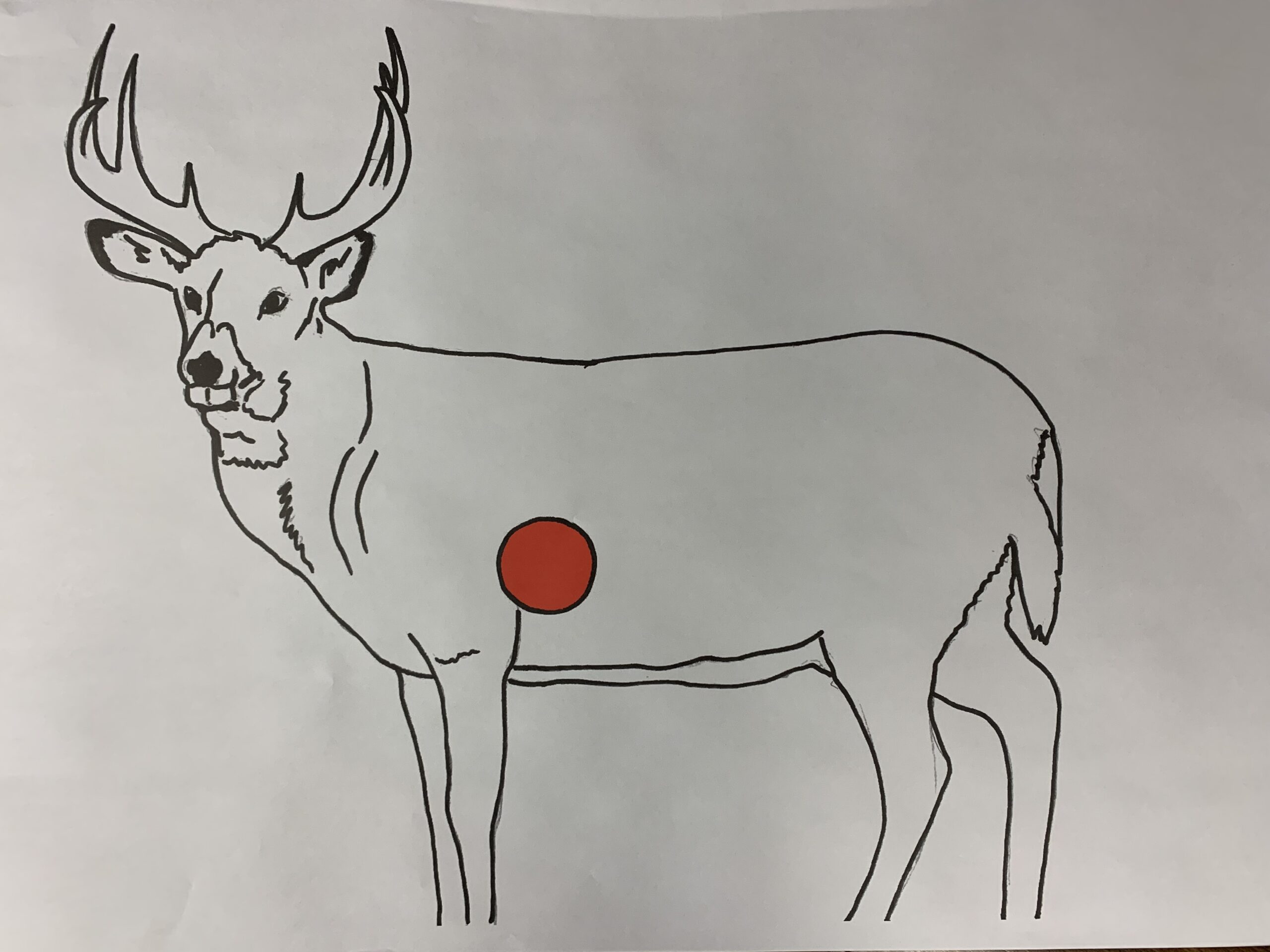 Deer Paper Target 10 Pack Paper Targets