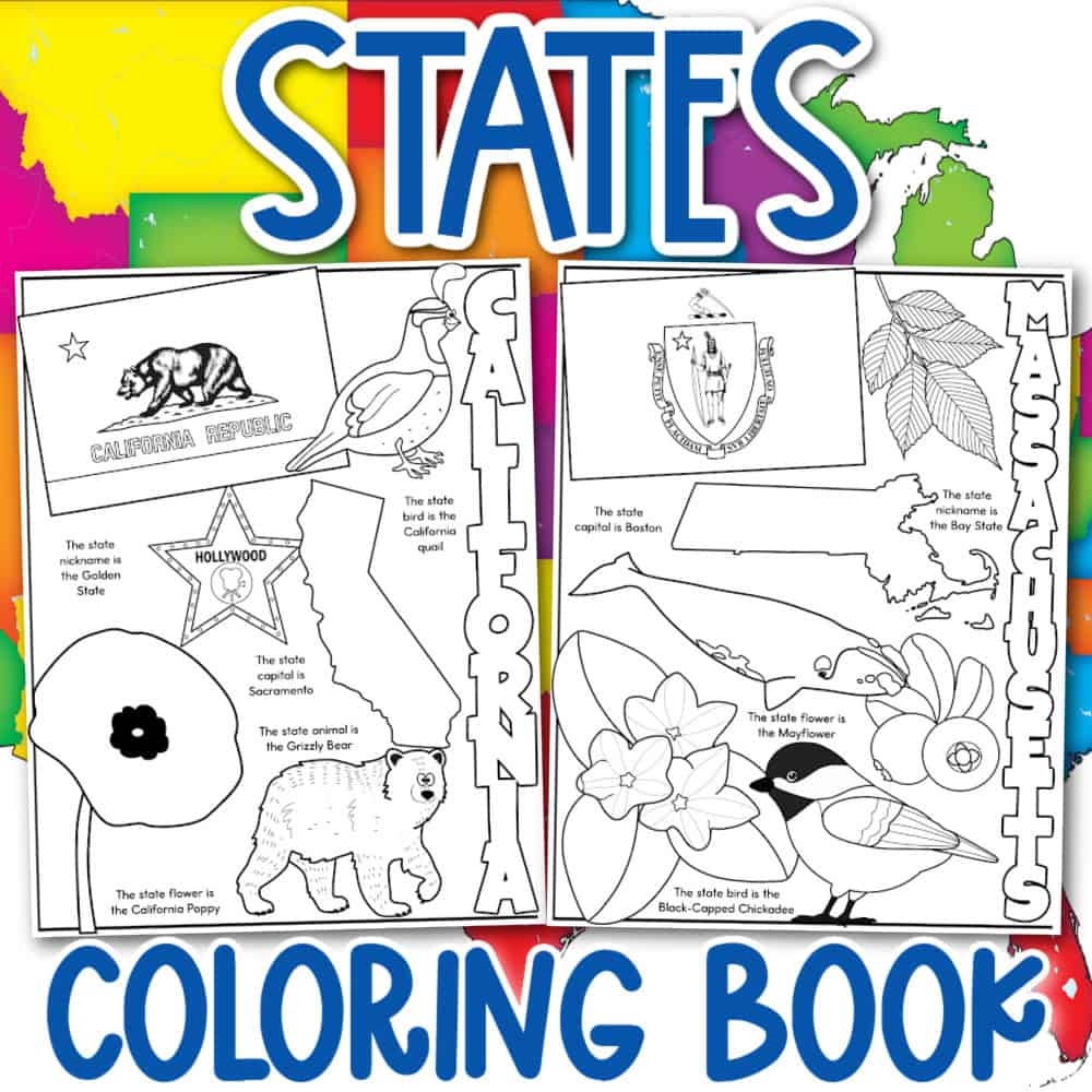 50 States Printable Worksheets