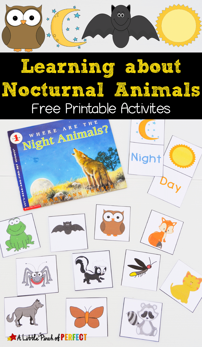 free nocturnal animals printables