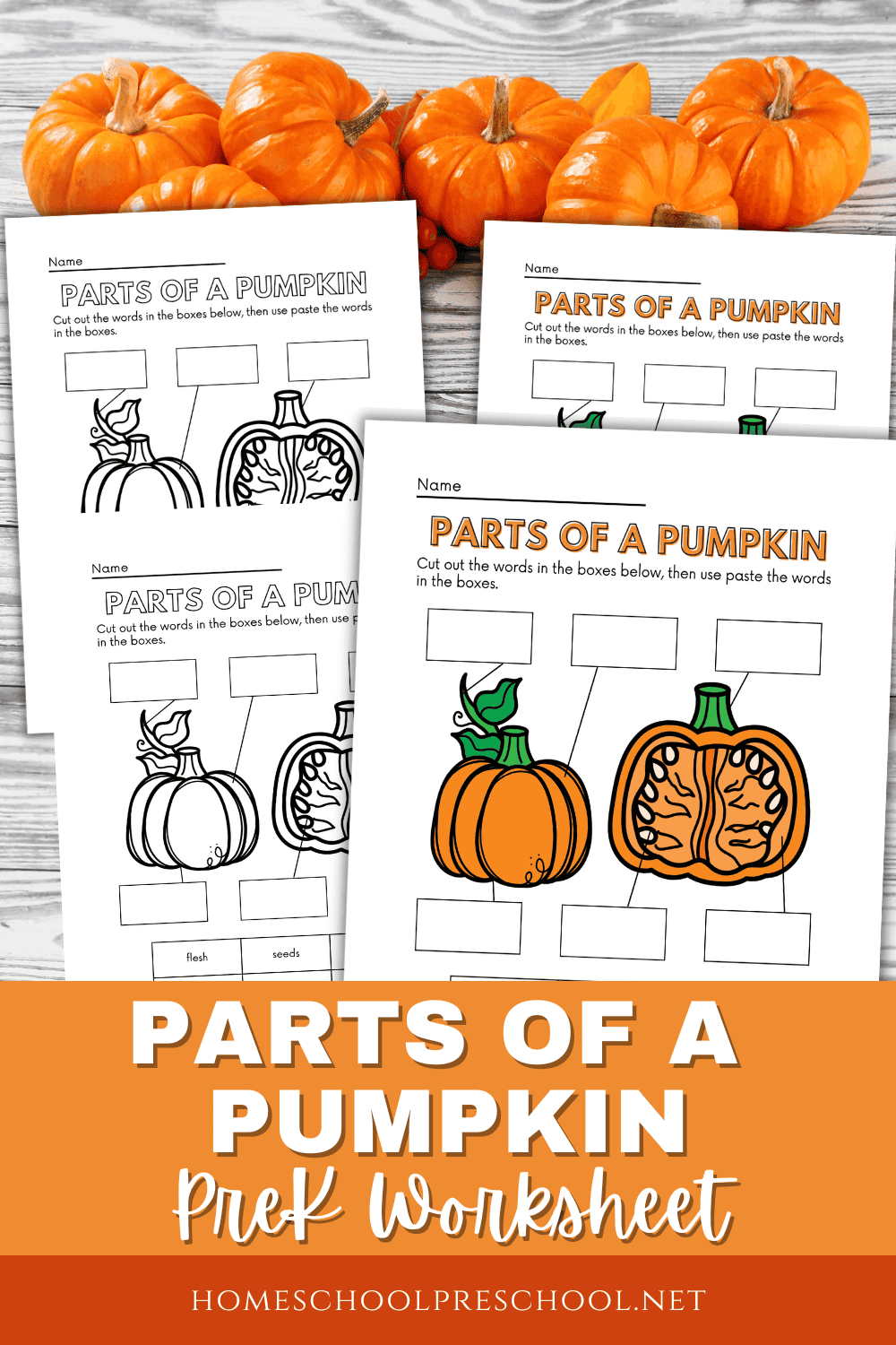 Free Printable Parts Of A Pumpkin Worksheet