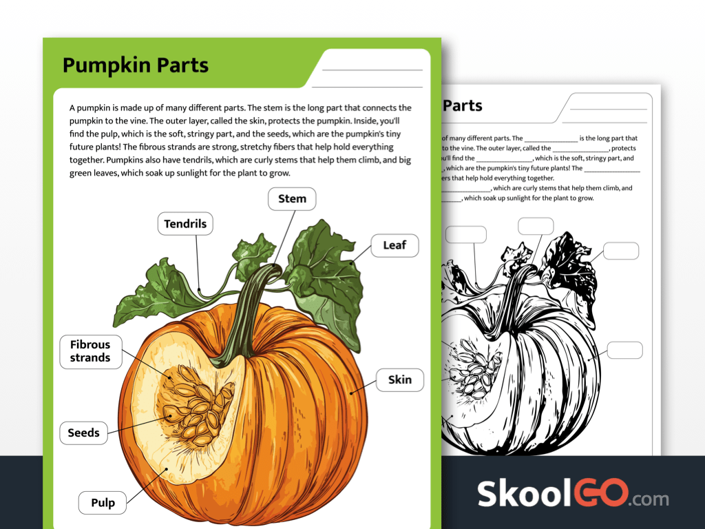 Free Printable Pumpkin Parts Worksheet SKOOLGO