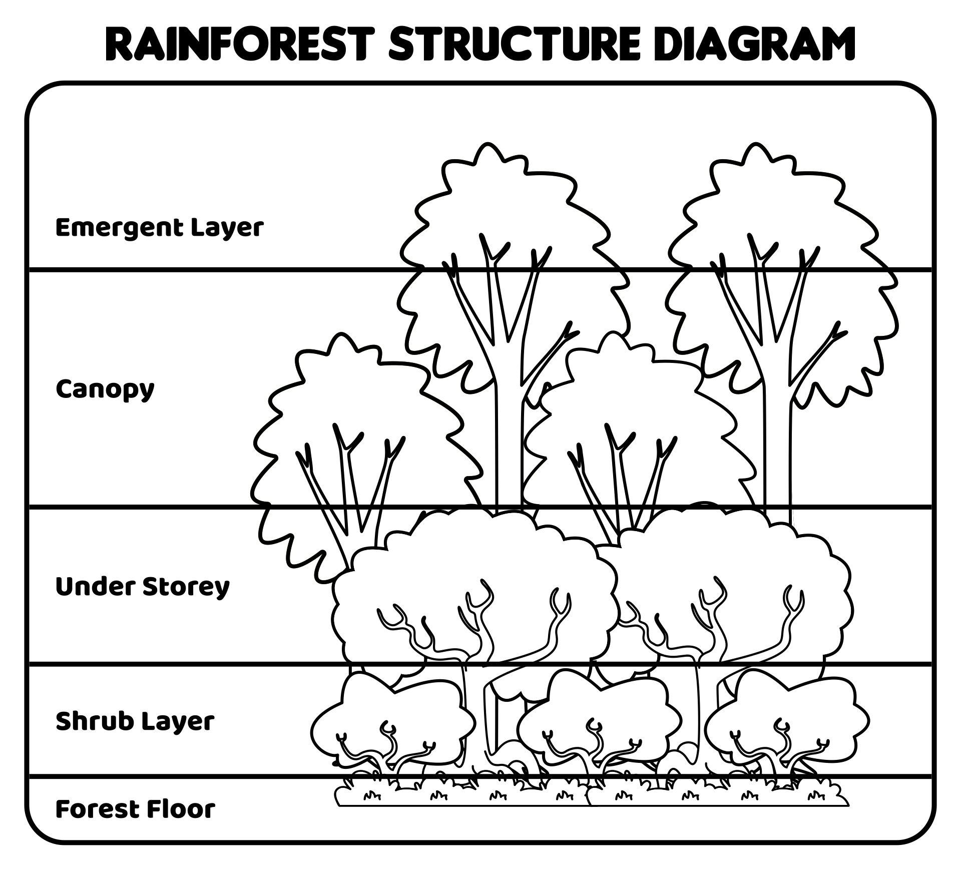 Free Printable Rainforest Worksheets