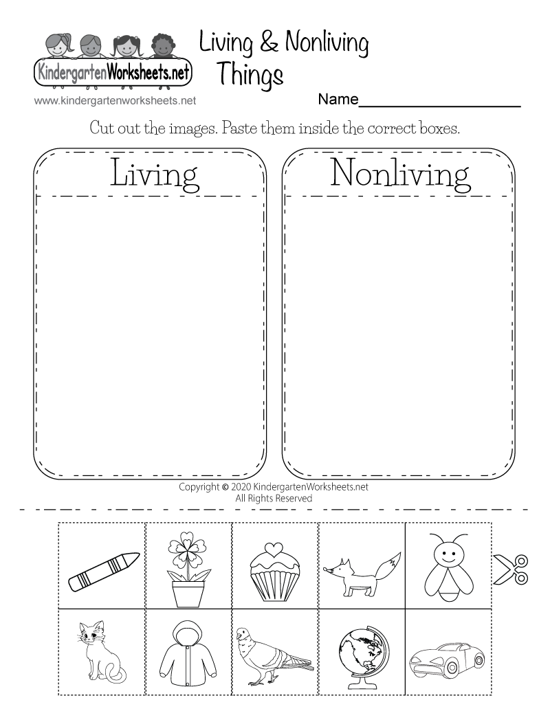 Science Worksheets Printable