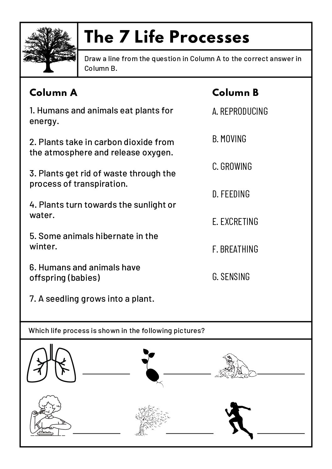 Free Printable 7th Grade Science Worksheets