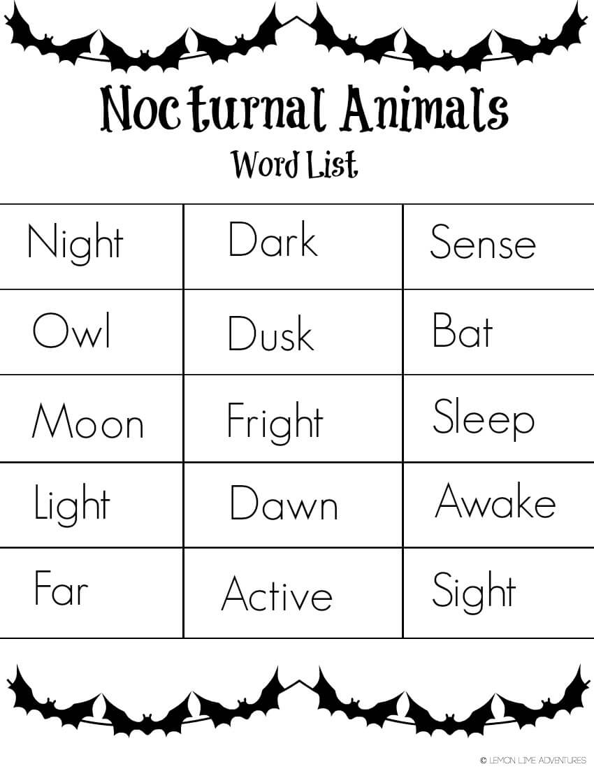nocturnal animals writing tray with free printable word list