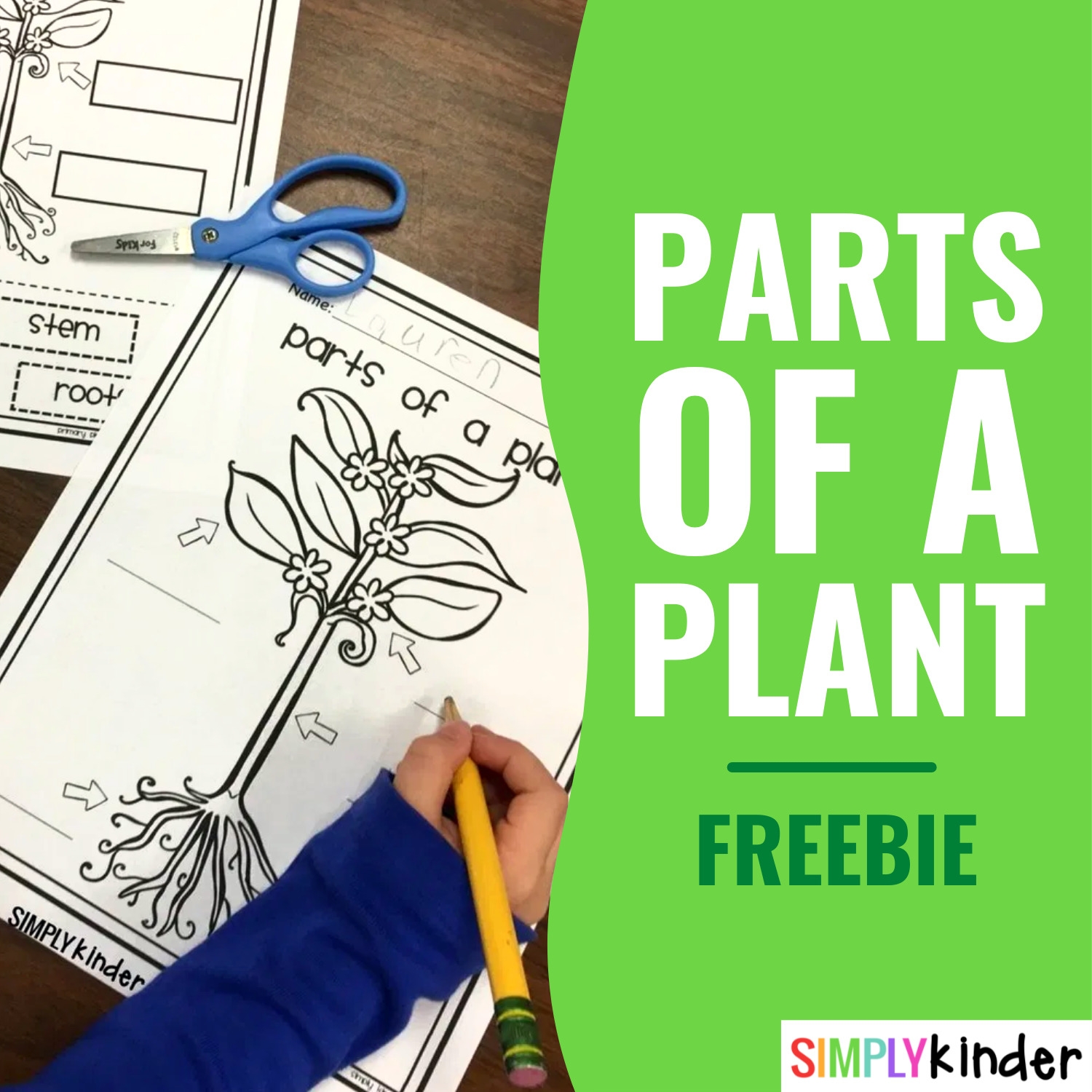 Parts Of A Plant Free Printable Simply Kinder
