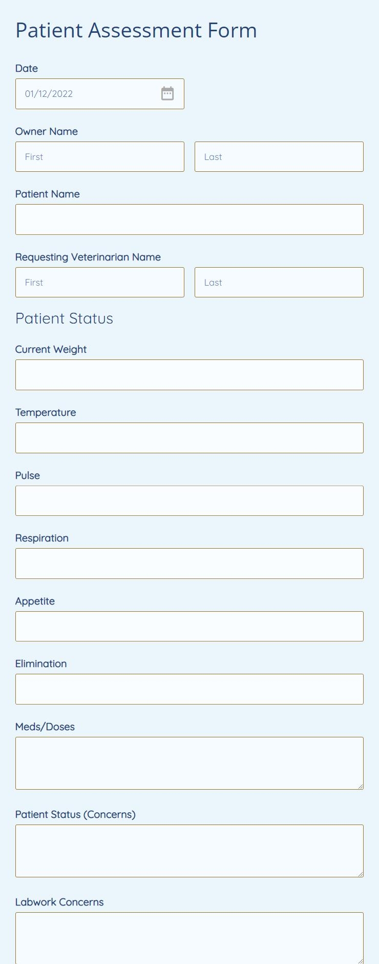Patient Assessment Form Template 123FormBuilder