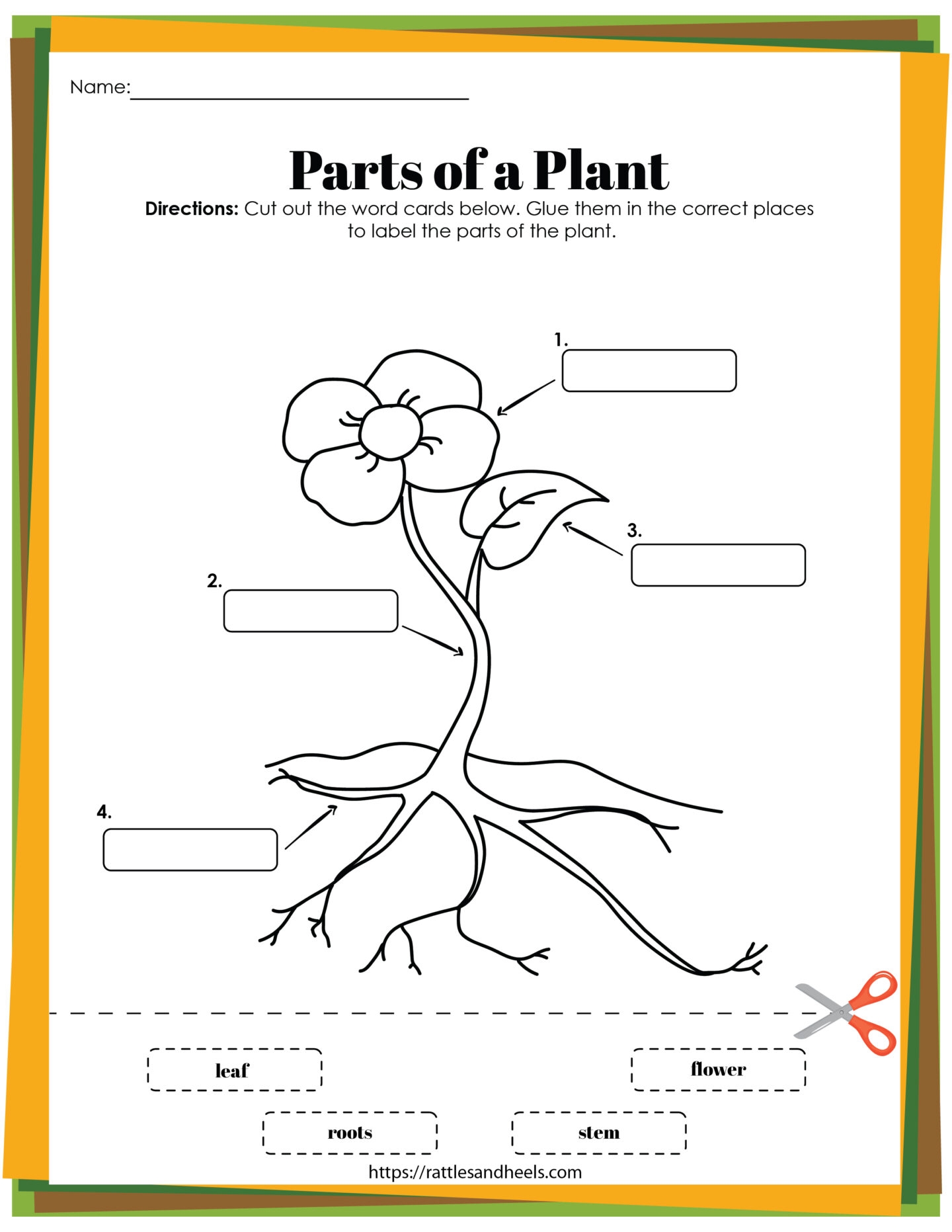 Plant Life Cycle Worksheets Free Printables For Kids 