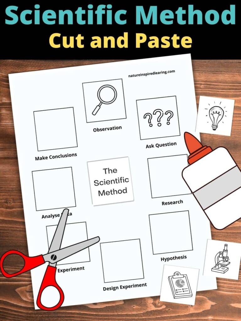 Printable Scientific Method Worksheets Nature Inspired Learning