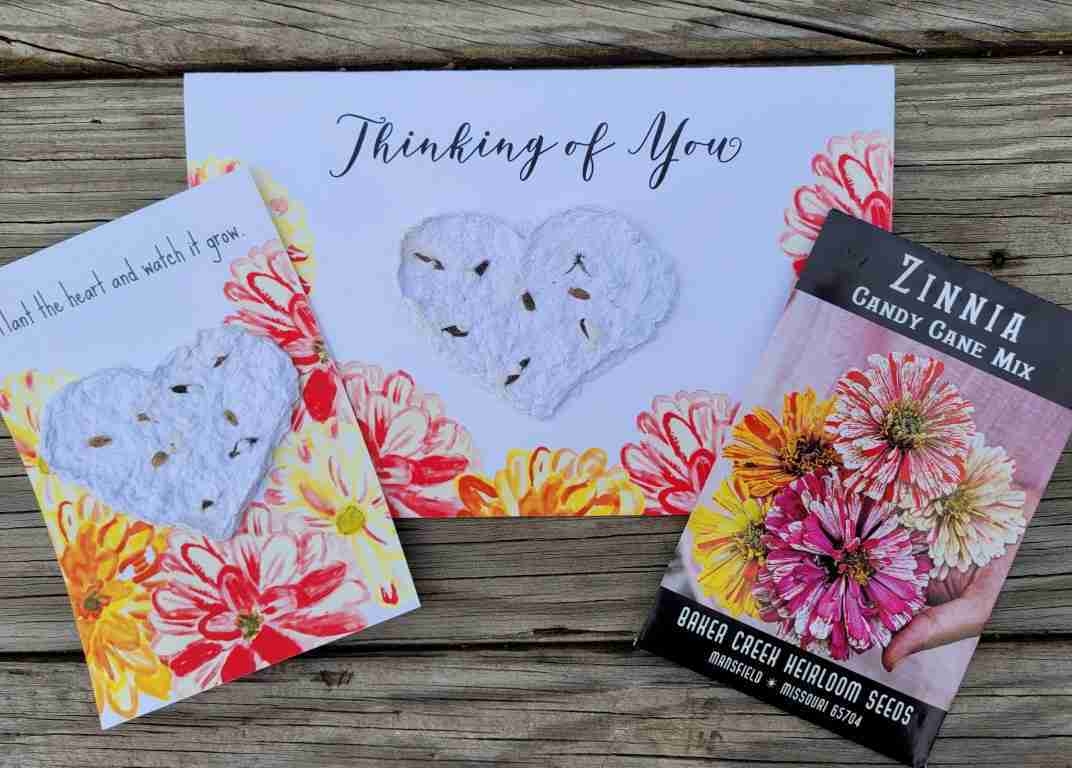 Printable Seed Paper Cards Wonder Filled Days
