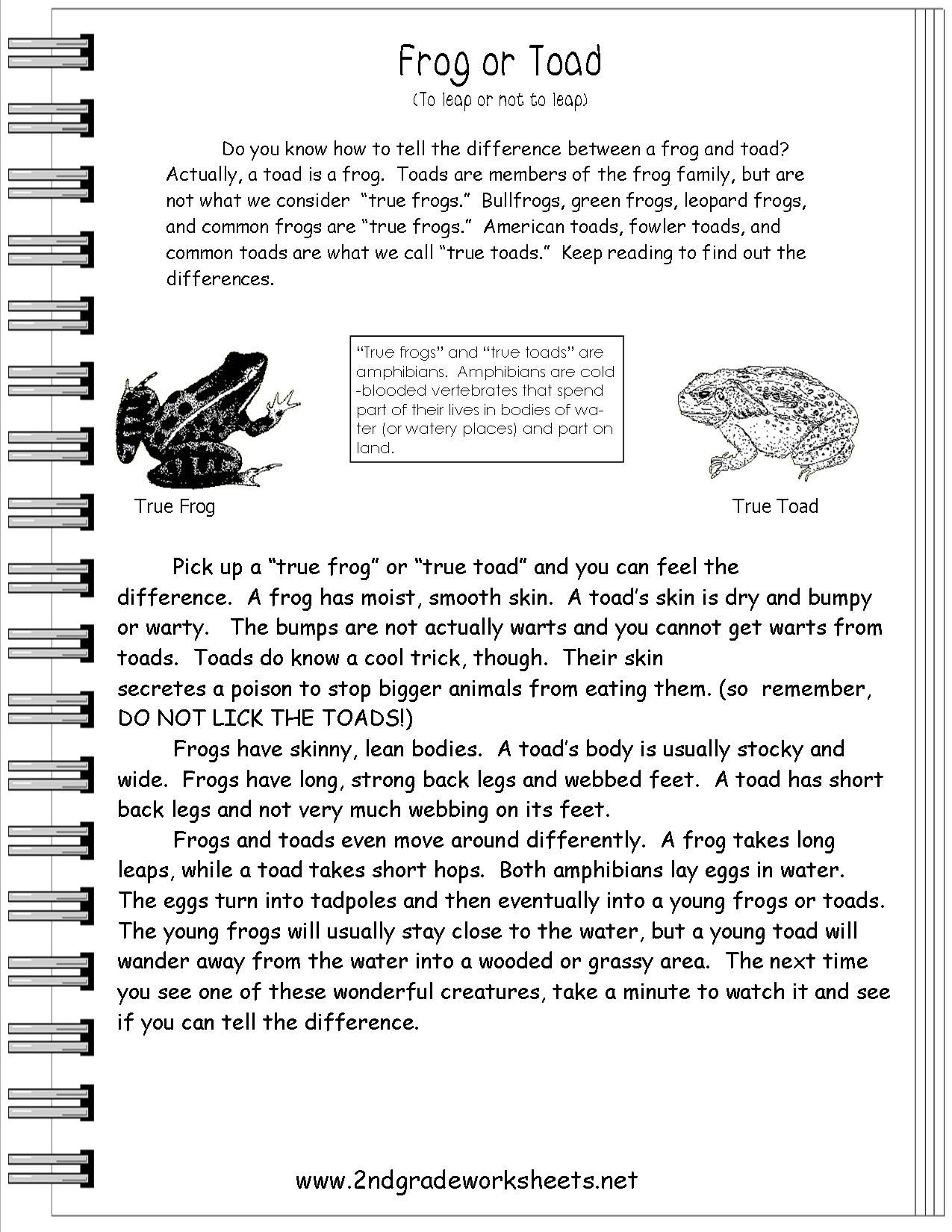 Reading Informational Text Worksheets Text Features Worksheet Worksheets Library