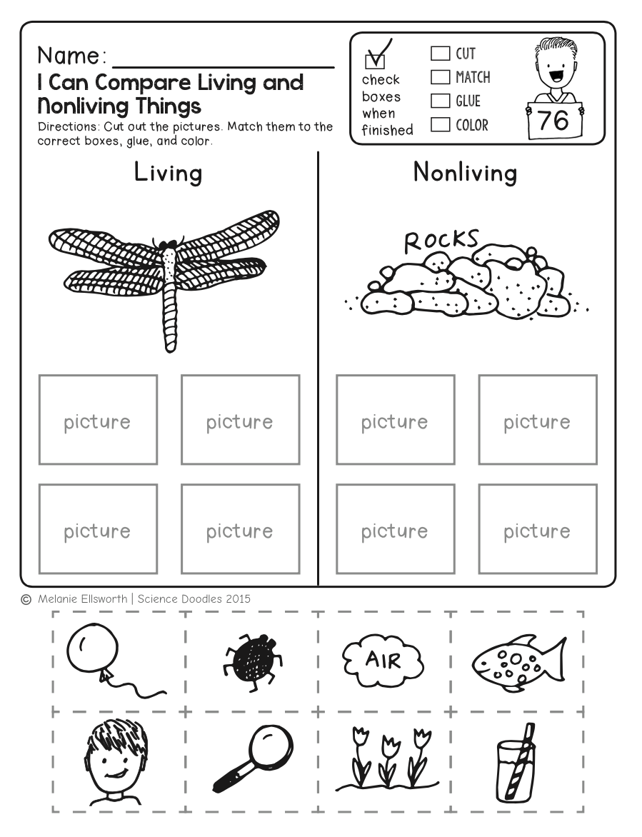 Science Worksheets Word Lists And Activities GreatSchools Worksheets Library