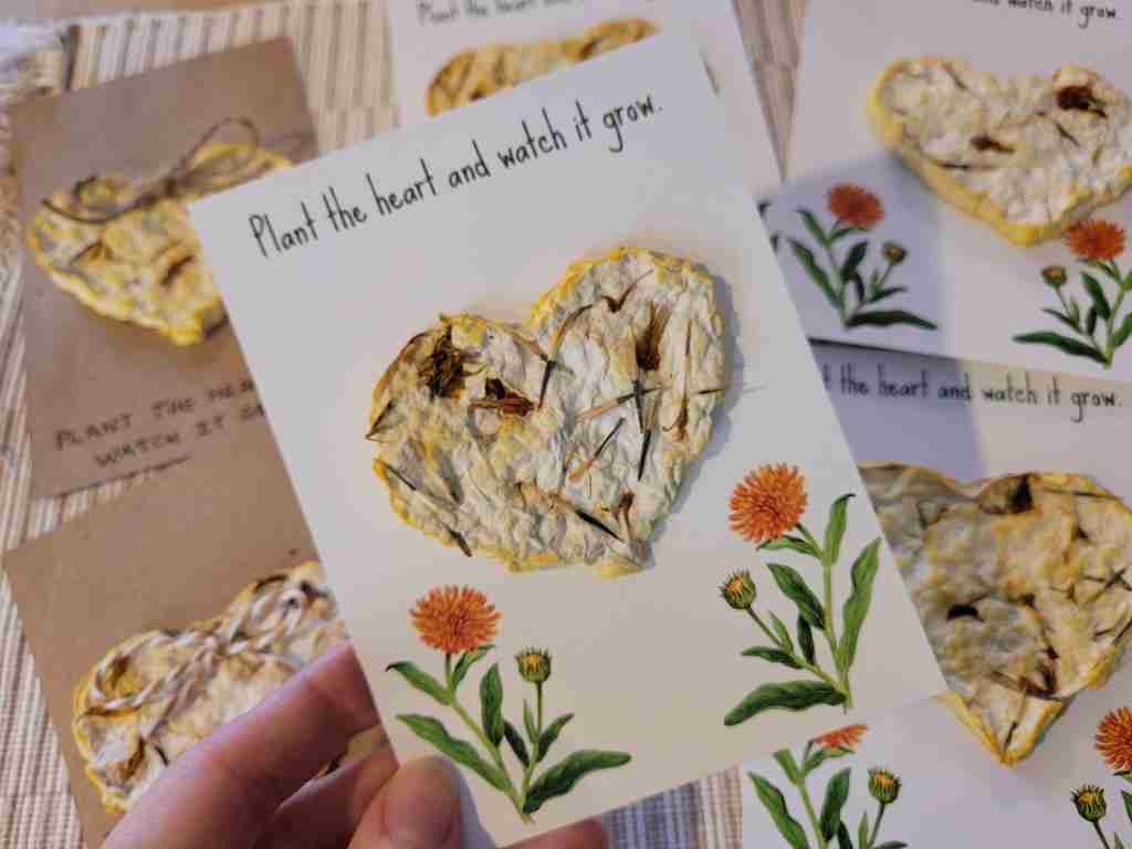 Seed Paper Hearts Wonder Filled Days