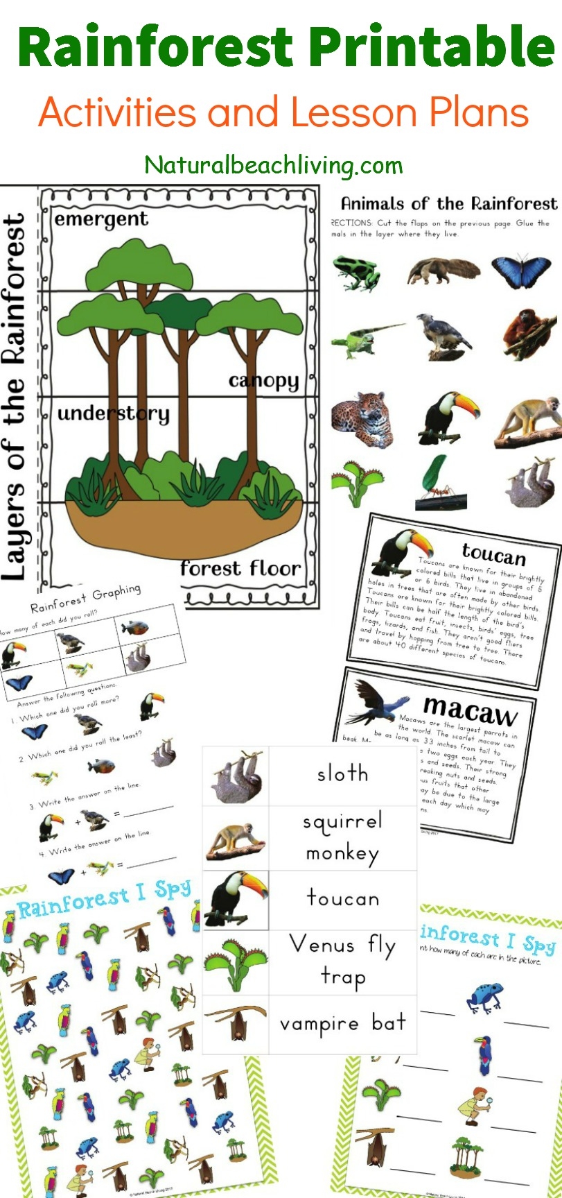 The Best Rainforest Printable Activities For Kids Natural Beach Worksheets Library