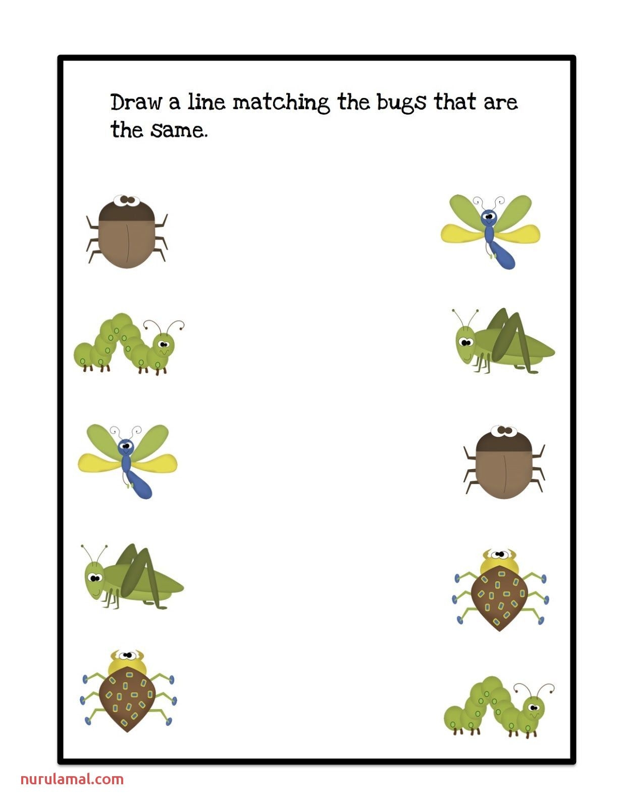 Printable Insect Worksheets For Preschool