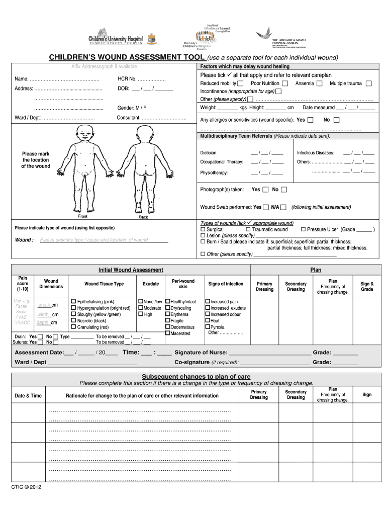Wound Assessment Form Pdf Fill Out Sign Online DocHub